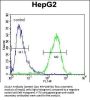 ZC12A Antibody (Center)