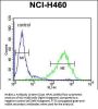 RAB3IL1 Antibody (C-term)