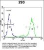 SPDYE5 Antibody (N-term)
