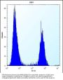 PTN Antibody (C-term)
