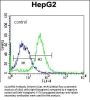 C12orf56 Antibody (N-term)