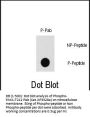 Phospho-PAK1(T212) Antibody
