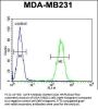 IL1F6 Antibody (Center)