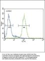 GLA Antibody (N-term)