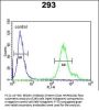 REG3A Antibody (N-term)