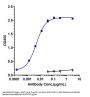 Anti-HGFR / c-Met Reference Antibody (emibetuzumab)