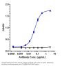 Anti-CTLA-4 / CD152 Reference Antibody (Antitope patent anti-CTLA4)