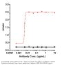 Anti-CDH1 / E-cadherin / CD324 Reference Antibody (Stem Centrx patent anti-Cadherin-1)