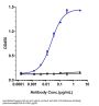 Anti-HGF / SF Reference Antibody (rilotumumab)