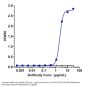 Anti-FcRn (FCGRT & B2M) Reference Antibody (batoclimab)