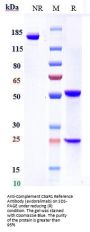 Anti-Complement C5aR1 Reference Antibody (avdoralimab)