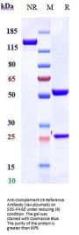 Anti-Complement C5 Reference Antibody (ravulizumab)