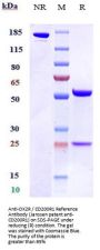 Anti-OX2R / CD200R1 Reference Antibody (Janssen patent anti-CD200R1)