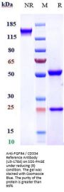 Anti-FGFR4 / CD334 Reference Antibody (U3-1784)