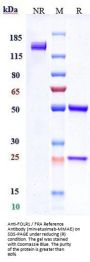 Anti-FOLR1 / FRA Reference Antibody (mirvetuximab-MMAE)
