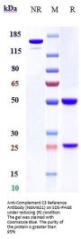 Anti-Complement C3 Reference Antibody (NGM621)