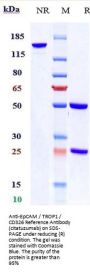 Anti-EpCAM / TROP1 / CD326 Reference Antibody (citatuzumab)