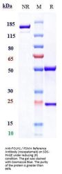 Anti-FOLH1 / PSMA Reference Antibody (rosopatamab)
