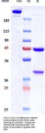 Anti-IL-1a & IL1b Reference Antibody (Lutikizumab)