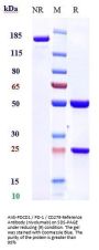 Anti-PDCD1 / PD-1 / CD279 Reference Antibody (nivolumab)