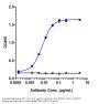 Anti-PDCD1 / PD-1 / CD279 Reference Antibody (nivolumab)