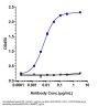 Anti-PDCD1 / PD-1 / CD279 Reference Antibody (sintilimab)