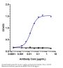 Anti-PDCD1 / PD-1 / CD279 Reference Antibody (spartalizumab)