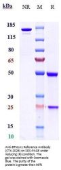 Anti-BTN1A1 Reference Antibody (CTX-2026)