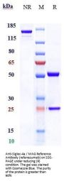 Anti-Siglec-4a / MAG Reference Antibody (refanezumab)