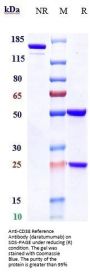 Anti-CD38 Reference Antibody (daratumumab)