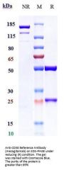 Anti-CD38 Reference Antibody (mezagitamab)