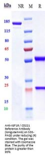 Anti-IGF1R / CD221 Reference Antibody (lonigutamAb)