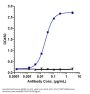 Anti-CCL2 / MCP1 Reference Antibody (carlumab)
