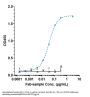 Anti-B7-H1 / PD-L1 / CD274 Reference Antibody (avelumab)