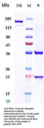 Anti-PRLR / Prolactin Receptor Reference Antibody (rolinsatamab)