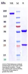 Anti-SLITRK6 Reference Antibody (sirtratumab)