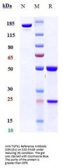 Anti-TGFb1 Reference Antibody (SRK181)