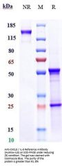 Anti-CXCL8 / IL-8 Reference Antibody (HuMax-IL8)