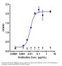 Anti-TNFRSF4 / OX40 / CD134 Reference Antibody (cudarolimab)