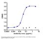 Anti-B7-H1 / PD-L1 / CD274 Reference Antibody (sugemalimab)