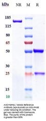 Anti-FGFR2 / CD332 Reference Antibody (aprutumab)