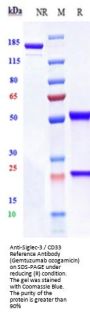 Anti-Siglec-3 / CD33 Reference Antibody (Gemtuzumab ozogamicin)