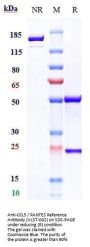 Anti-CCL5 / RANTES Reference Antibody (VLST-002)