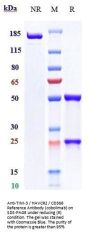 Anti-TIM-3 / HAVCR2 / CD366 Reference Antibody (cobolimab)