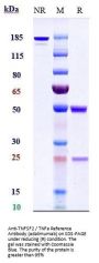 Anti-TNFSF2 / TNFa Reference Antibody (adalimumab)