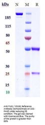 Anti-TLR2 / CD282 Reference Antibody (tomaralimab)