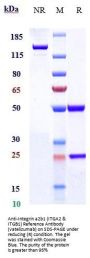 Anti-Integrin a2b1 (ITGA2 & ITGB1) Reference Antibody (vatelizumab)