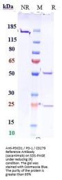 Anti-PDCD1 / PD-1 / CD279 Reference Antibody (sasanlimab)