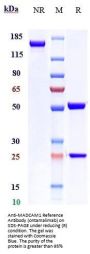 Anti-MADCAM1 Reference Antibody (ontamalimab)
