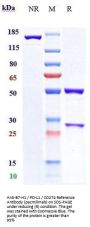 Anti-B7-H1 / PD-L1 / CD274 Reference Antibody (pacmilimab)